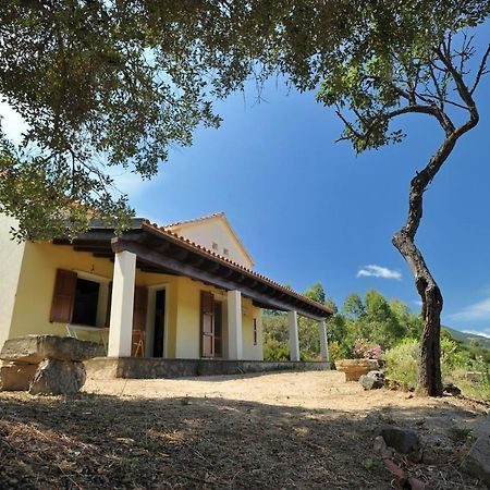 Lierus B&B Gonnosfanàdiga Extérieur photo